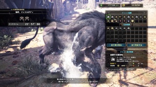 MHWsoba12 (12).jpg