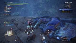 MHWsoba12 (2).jpg