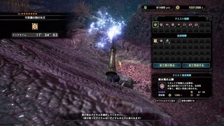 MHWsoba6 (3).jpg
