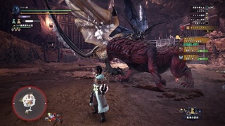 MHWsoba9 (12).jpg